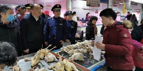 上海开展农贸活禽交易市场疫情防控专项执法检查 保障食用农产品批发安全