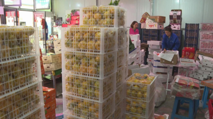 筑牢食用农产品批发“节前关口”，全力守护百姓“舌尖上的安全”